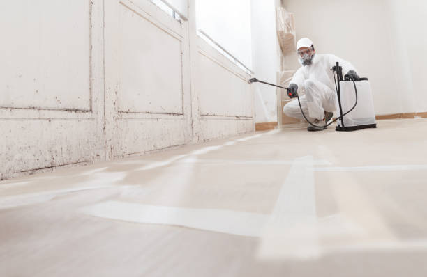 24/7 Emergency Bathroom Mold Removal experts in Clinton, NC